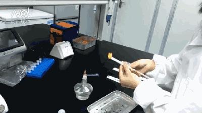 橡胶面条鉴别方法,橡胶面条是正品吗