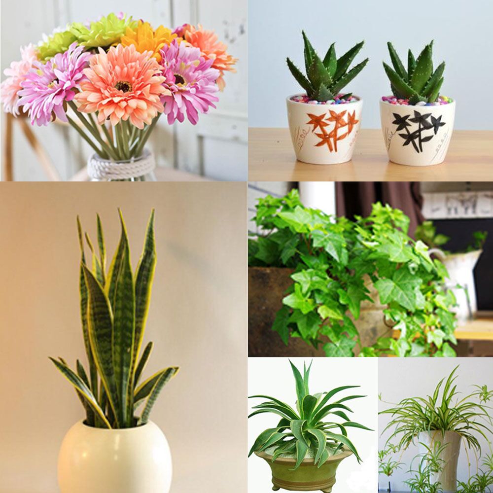 甲醛对人体的危害怎么除甲醛最快,甲醛去除仪真能去除甲醛吗