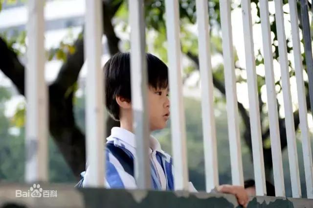 喜禾上学,喜禾求学记