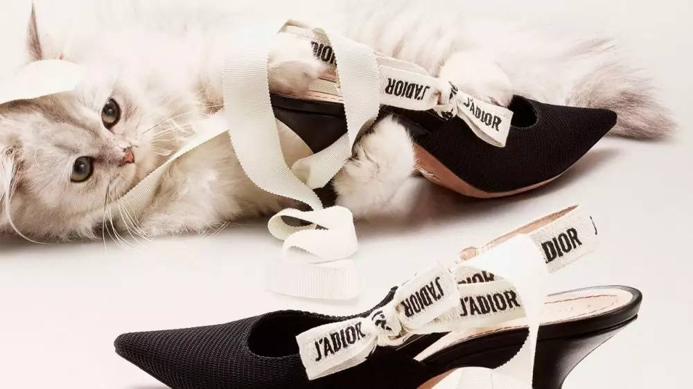 人气爆火的鞋,最近火爆了网红鞋