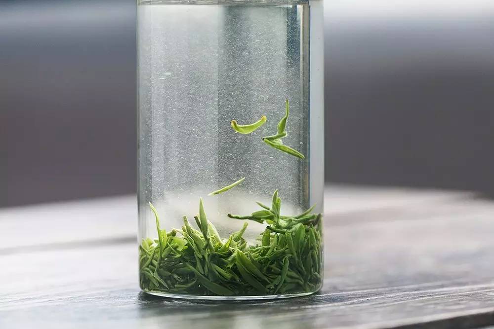 云南碧螺春和苏州碧螺春的区别,苏州哪里可以买到真正碧螺春