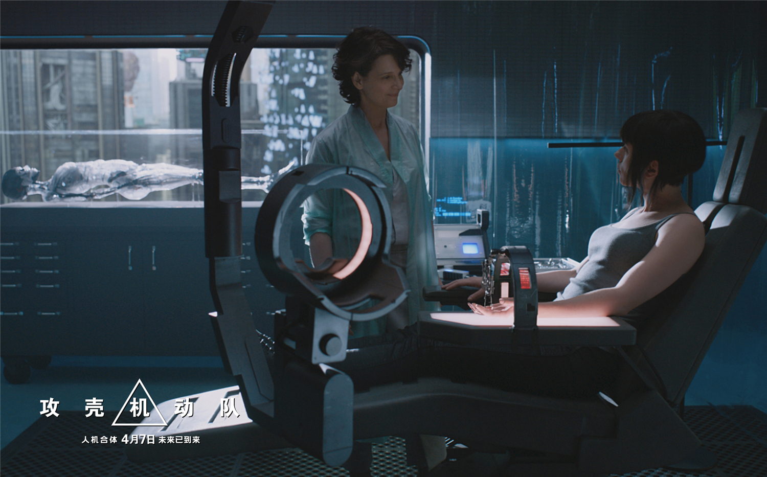 攻壳机动队寡姐改造过程,攻壳机动队寡姐影评