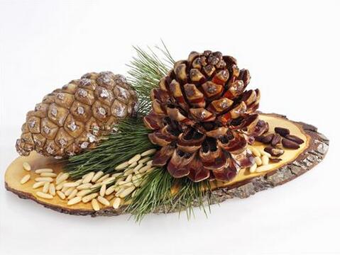 松子有营养吗脂肪高,松子里面有什么营养价值呢