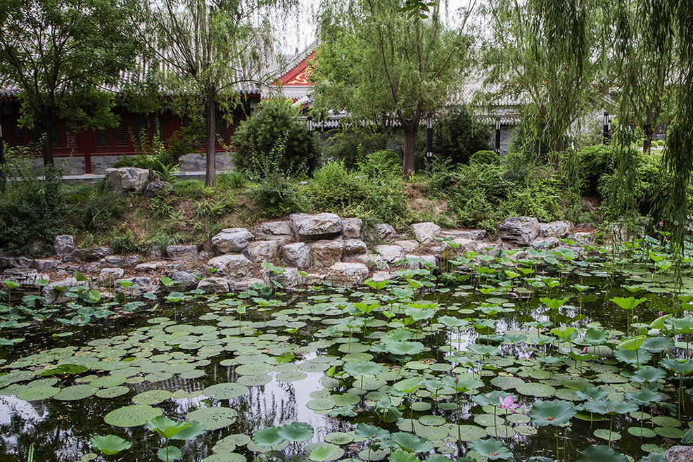 北京大学有几个燕园,北京大学燕园校区是哪个区