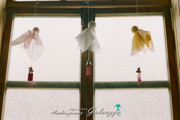 鼓浪屿旅行攻略玩乐攻略,鼓浪屿旅行攻略大全最新