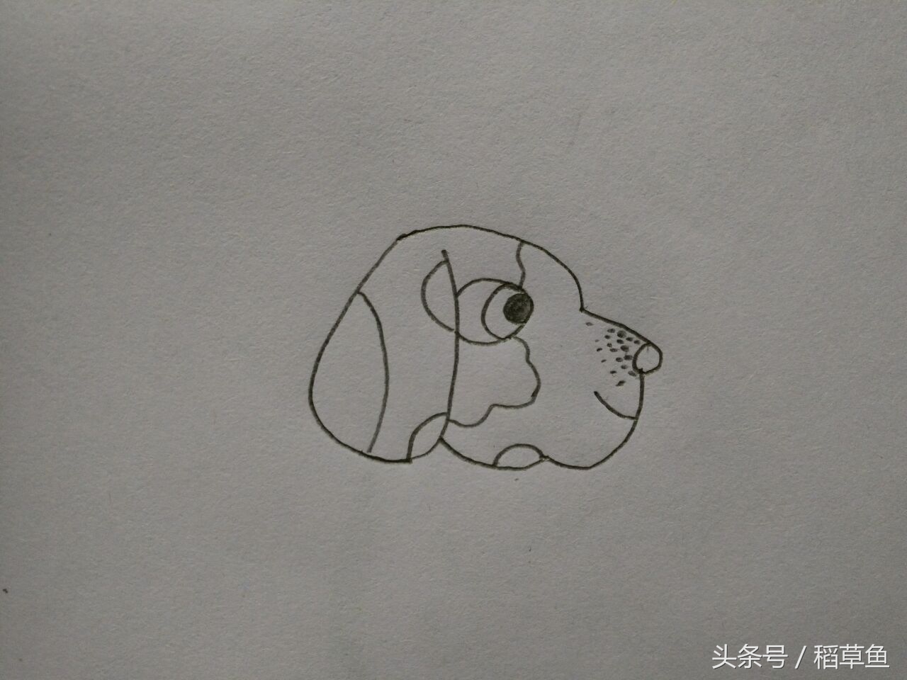 12生肖完整图片马的简笔画,12生肖中的狗简笔画怎么画