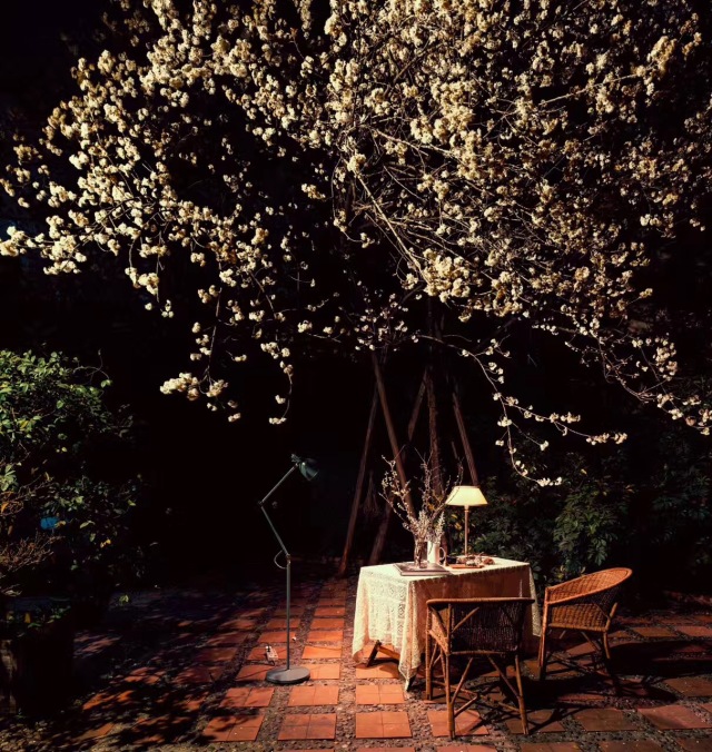 太多人读得懂风花雪月,读懂风花雪月却走不出沧海桑田