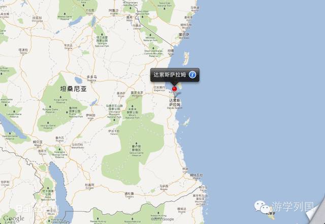 一生必去一次的非洲坦桑尼亚｜回归狂野