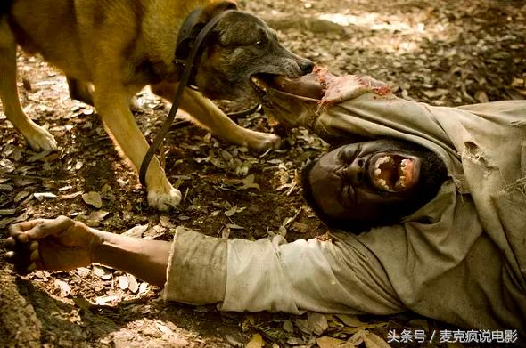 昆汀电影深度解读,昆汀电影深度解析