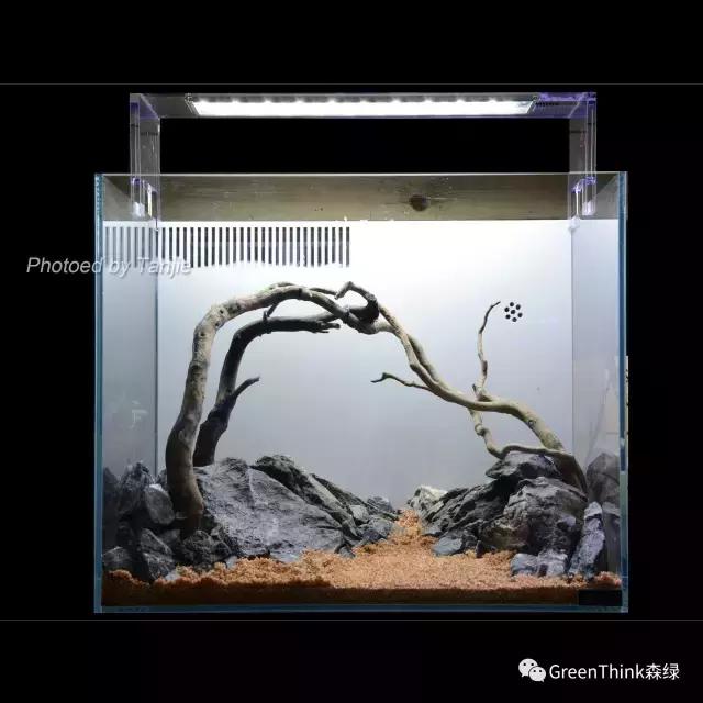 水草缸造景大师视频大全,水草造景大师