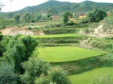 农村种植补贴新政策信息,怎样才能享受农民种植补贴政策