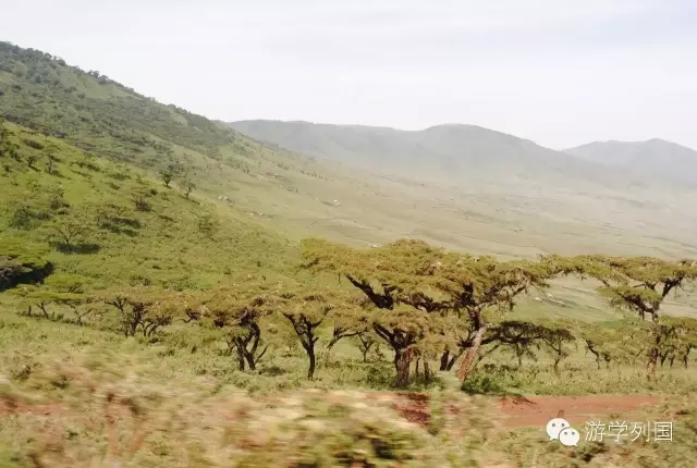 一生必去一次的非洲坦桑尼亚｜回归狂野