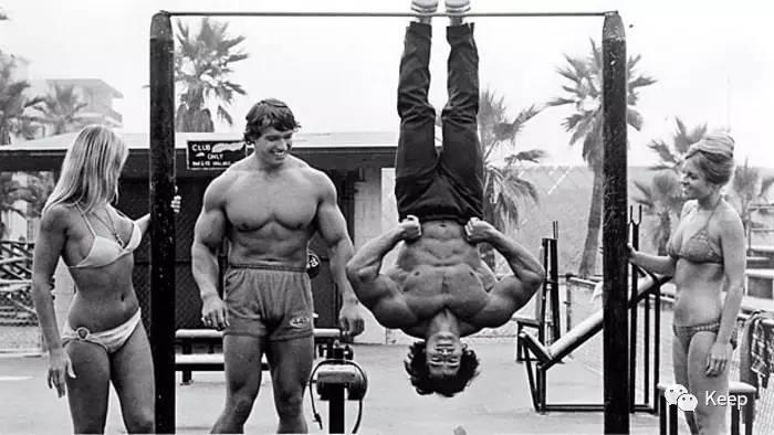 活肌肉死肌肉是什么,活肌肉vs死肌肉