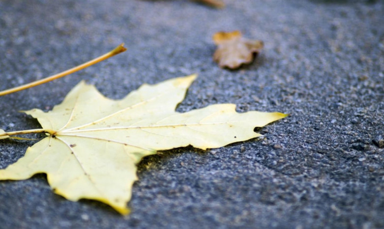 欣赏喜欢爱的区别,欣赏带有喜欢的意思吗