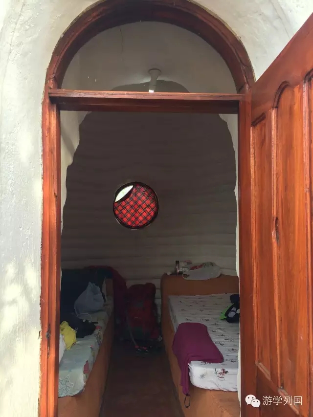 一生必去一次的非洲坦桑尼亚｜回归狂野