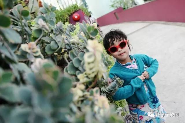 带孩子去新加坡游玩三天攻略 (带娃新加坡旅游攻略)