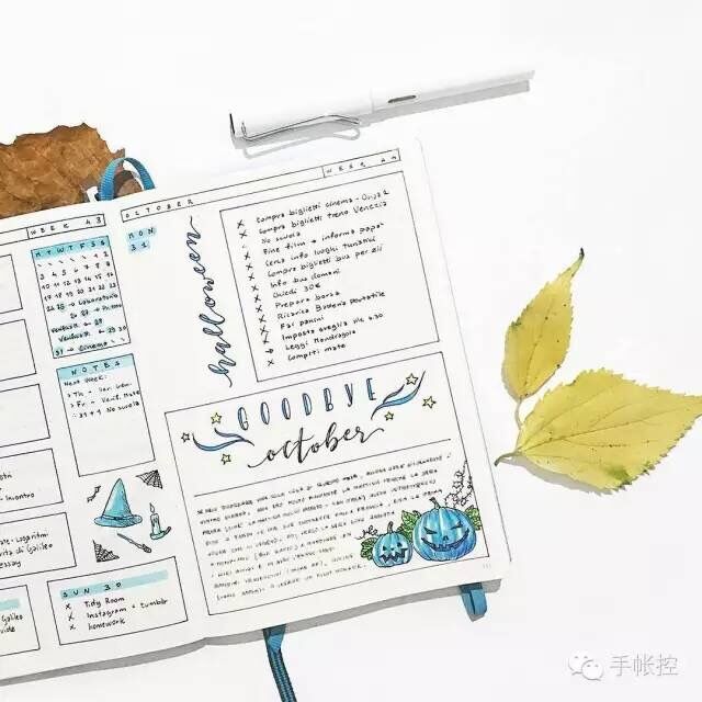 一本手账功能,一本手账本够吗