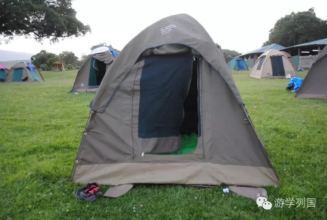 一生必去一次的非洲坦桑尼亚｜回归狂野