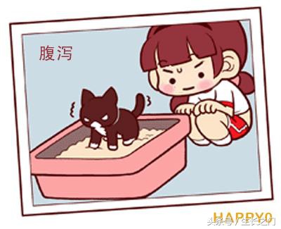 拉肚子乌梅丸,乌梅丸可以治拉肚子吗