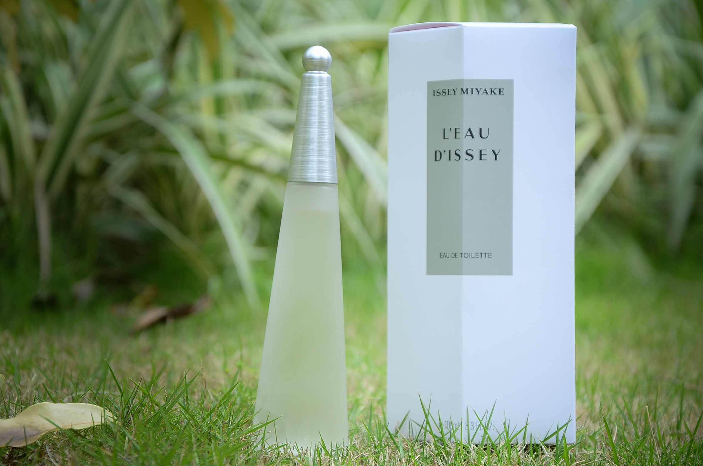 小清新香水推荐学生平价,希汀小清新与绿茶香水