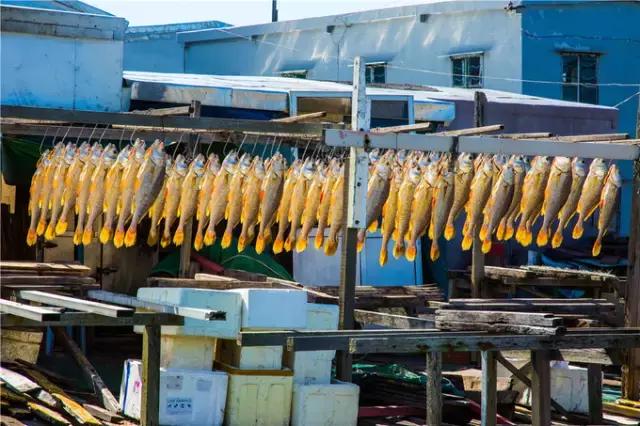 香港tvb的发展历程,香港tvb怀旧之旅