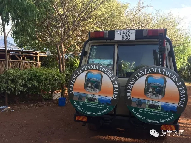 一生必去一次的非洲坦桑尼亚｜回归狂野