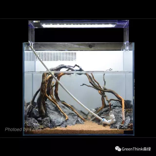 水草缸造景大师视频大全,水草造景大师