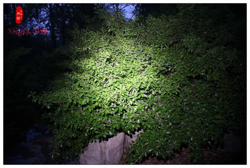 不止于斯-奈特科尔MT06MDEDC手电