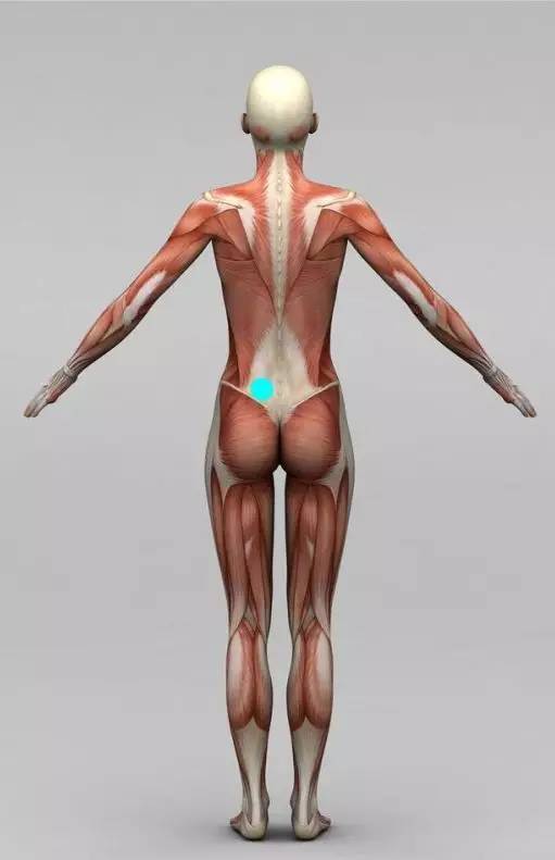 答疑(25):打完球脚面疼,是足弓支撑不够