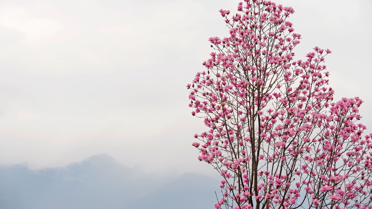 30分钟刷一次朋友圈,你多久刷一次朋友圈
