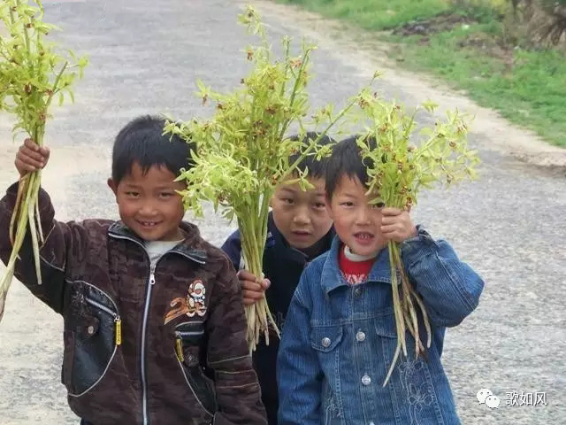 英山大别山主峰和罗田天堂寨景区,黄冈罗田大别山天堂寨旅游区美景