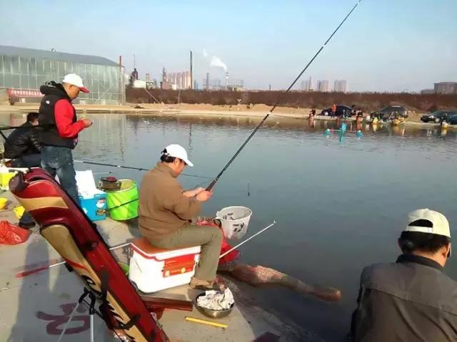 河北垂钓大赛,河北省第十六届省运会钓鱼比赛