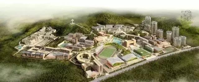 诸暨100强企业名单,诸暨前100名企业