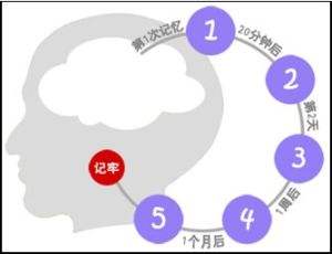 如何用记忆力法在初次见面记住对方姓名和长相？