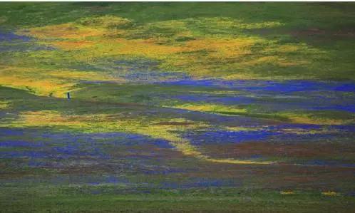 四川不可不去的十个景区,四川湿地风景区