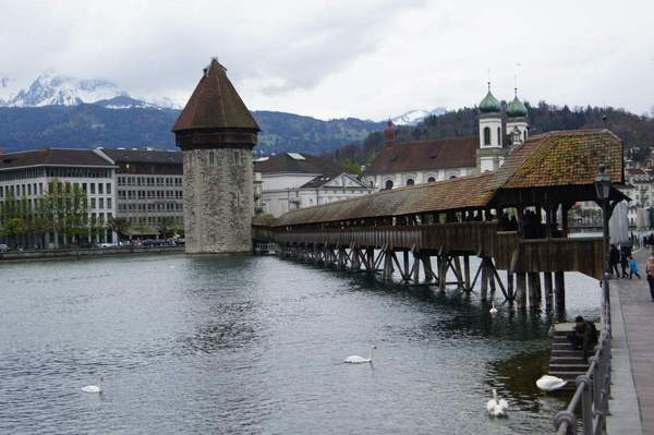 意大利商务签证能考驾照吗,意大利商务签证可以自由行吗