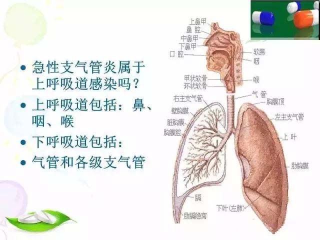 眼科用药处方点评案例分析,处方点评什么是重复用药
