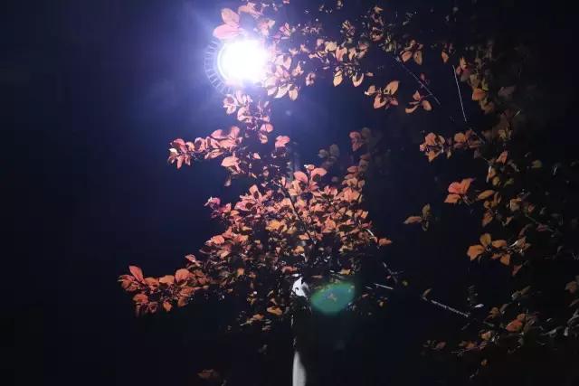 又一封辞职信火了！只因TA来了一趟巫山！