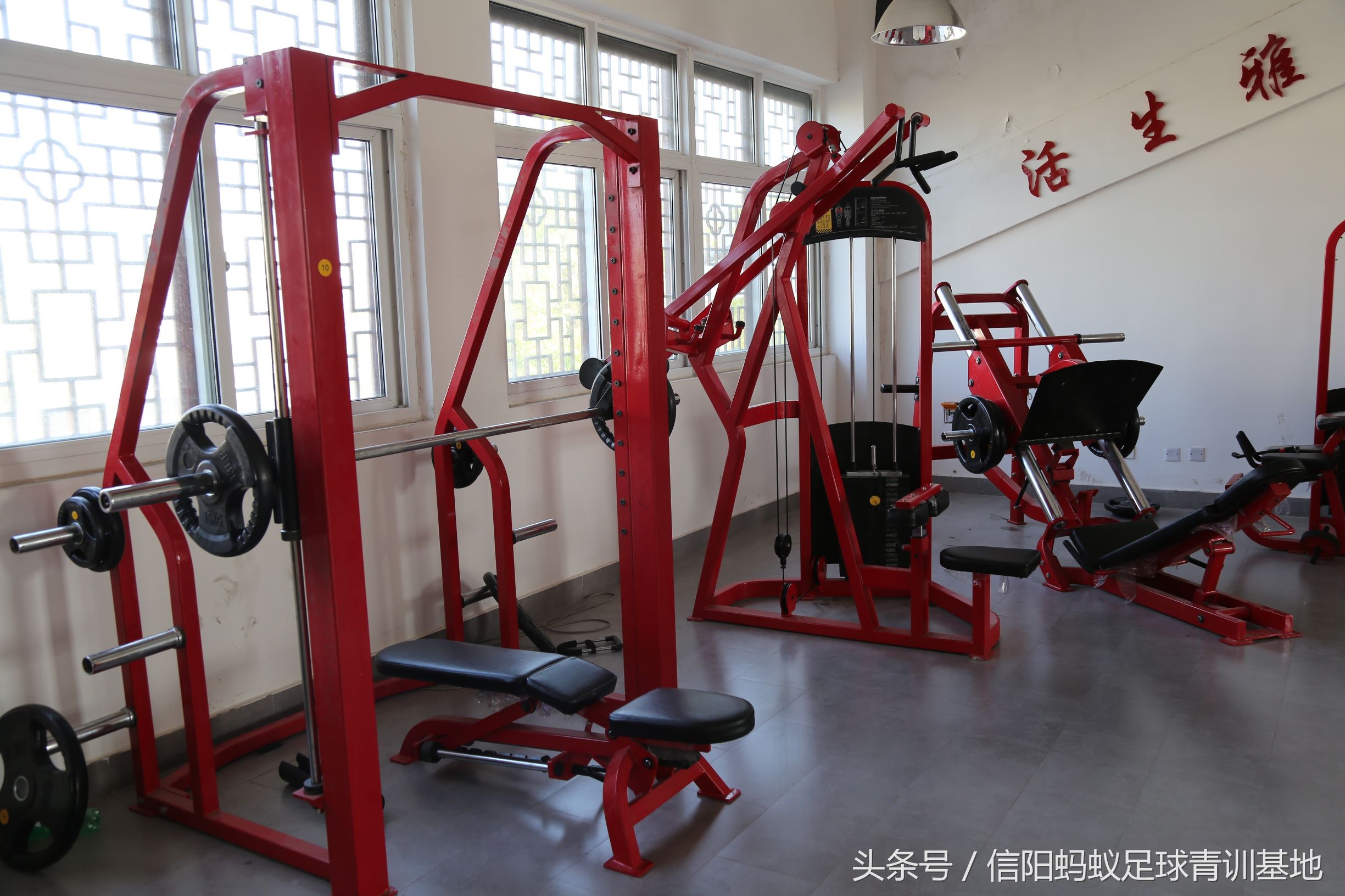 信阳蚂蚁足球联赛视频,蚂蚁足球青训教学视频