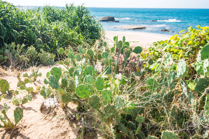 蓝天白云,椰风海韵,去三亚散散心吧