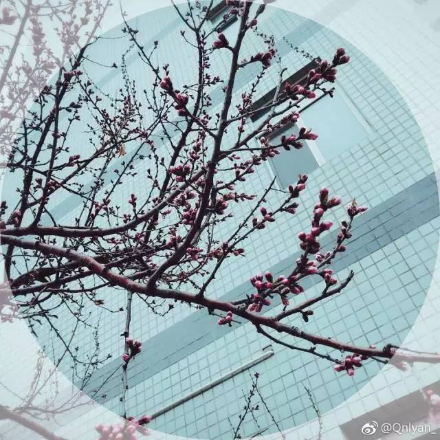 林志玲360无死角是真的美,全球最美360无死角的美女