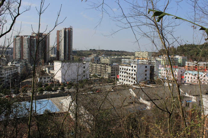 *光烈梁**故乡,中国麦冬名城:四川三台