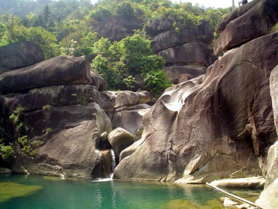 对话星品牌阿胶,对话星品牌栏目