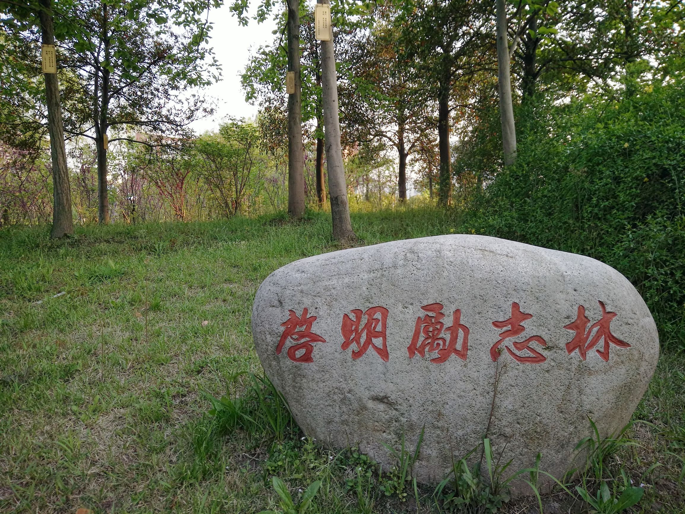 离别母校四十年对现任校长的感言,大学校长毕业典礼致辞经典语录