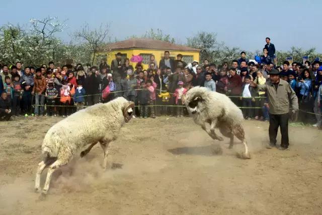 夫妻和谐的万能秘诀,夫妻和谐法则