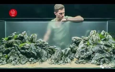 分享养植经验,分享绿植花卉养护日常