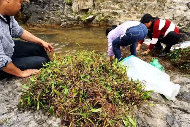 驴游记照片,驴游记全部视频