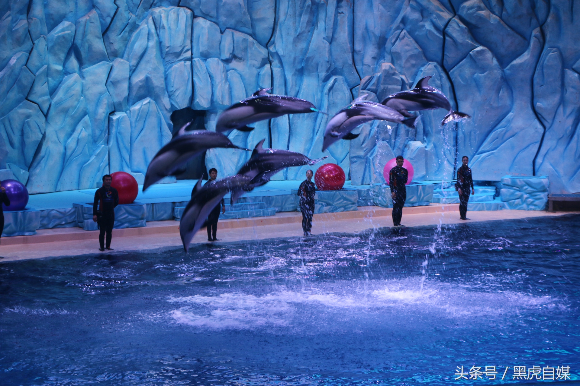 旅游珠海长隆海洋王国攻略,长隆珠海海洋王国游玩一天攻略