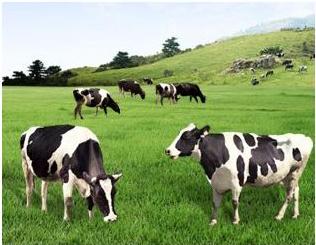 新生儿吃什么奶粉好排行榜,双胎新生儿吃什么奶粉好