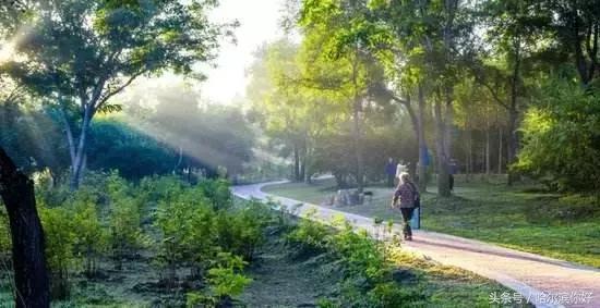 哈尔滨市香坊区发展得好吗,哈尔滨要发展起来了